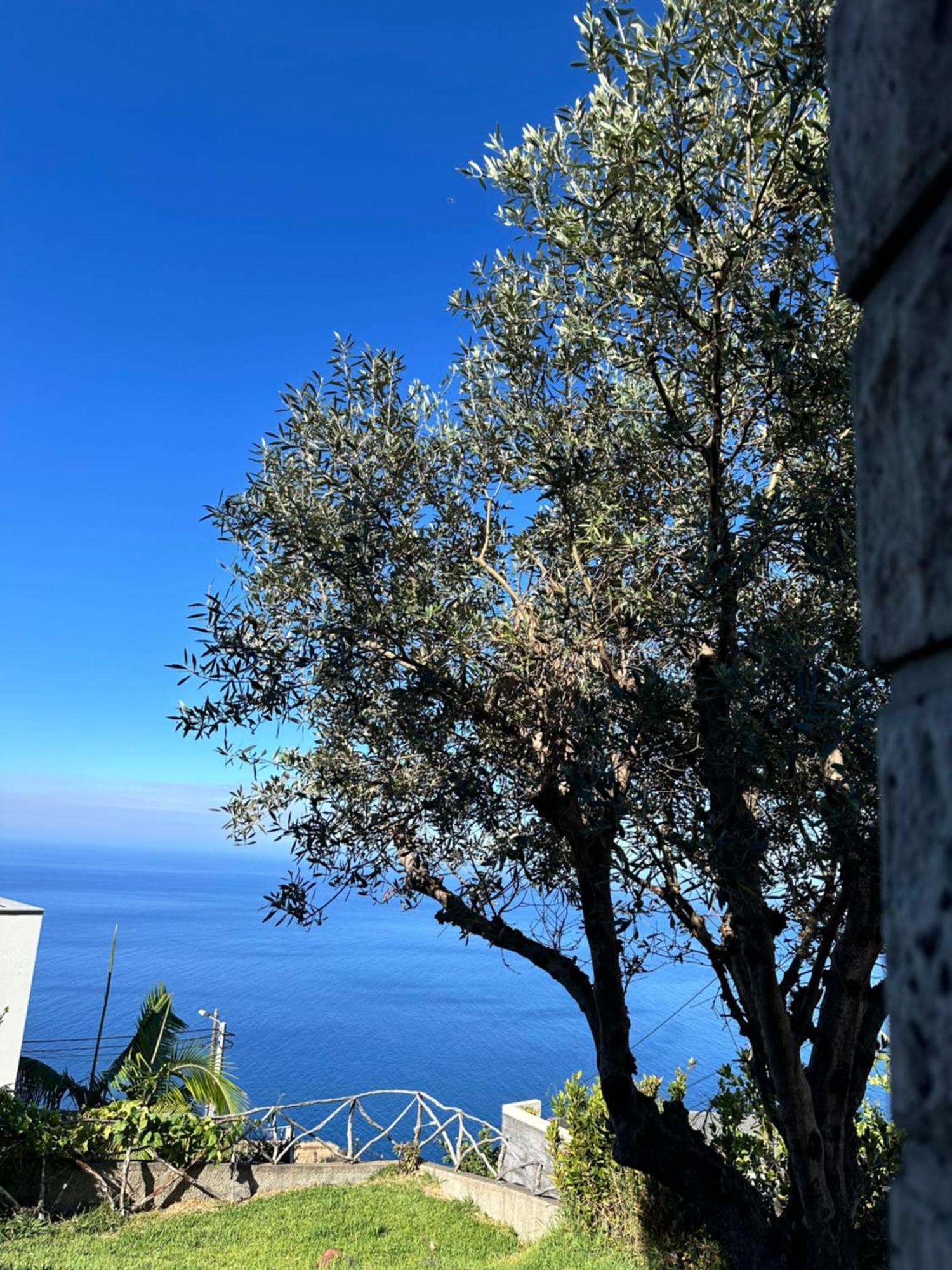 Villa Cozy Sea View House Faja Da Ovelha Calheta  Exterior foto